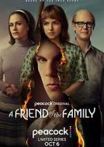 a friend of the family tv poster