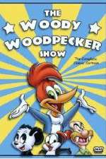 Watch The Woody Woodpecker Show Alluc