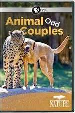 Watch Animal Odd Couples Alluc