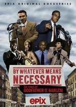 Watch By Whatever Means Necessary: The Times of Godfather of Harlem Alluc