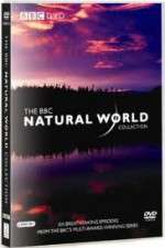 Watch The Natural World Alluc