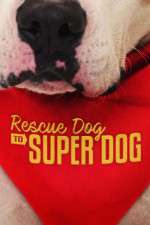 Watch Rescue Dog to Super Dog (US) Alluc