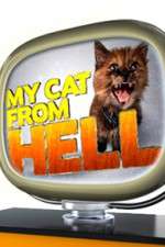 Watch My Cat from Hell Alluc