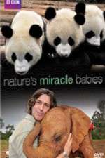 Watch Natures Miracle Babies Alluc