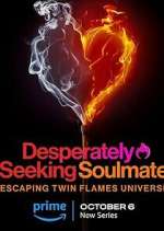 Watch Desperately Seeking Soulmate: Escaping Twin Flames Universe Alluc
