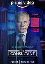 the consultant tv poster