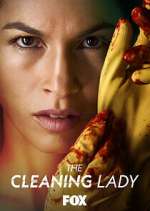 Watch The Cleaning Lady Alluc