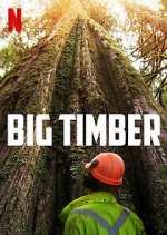 Watch Big Timber Alluc