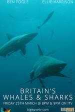 Watch Britain's Whales and Sharks Alluc