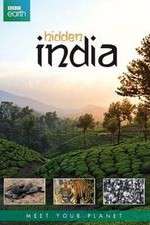 Watch Hidden India Alluc