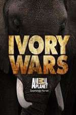 Watch Alluc Ivory Wars Online