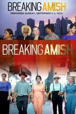 Watch Breaking Amish Alluc