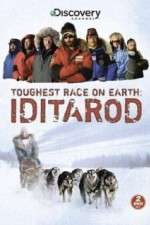 Watch Iditarod Alluc