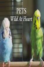 Watch Pets - Wild at Heart Alluc