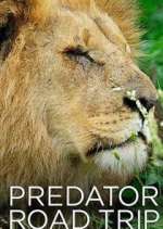 Watch Predator Road Trip Alluc