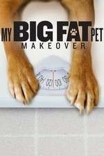 Watch My Big Fat Pet Makeover Alluc