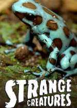 Watch Strange Creatures Alluc