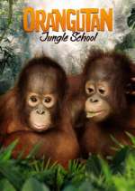 Watch Orangutan Jungle School Alluc