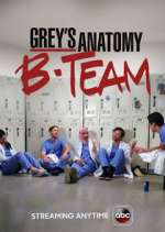 grey's anatomy: b-team tv poster