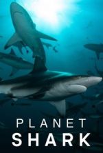 Watch Planet Shark Alluc
