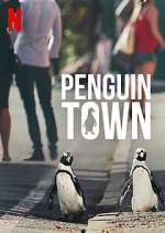 Watch Penguin Town Alluc
