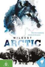 Watch Wildest Arctic Alluc