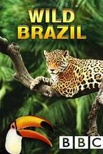 Watch Wild Brazil Alluc
