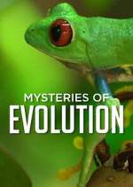 Watch Mysteries of Evolution Alluc