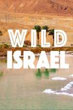 Watch Wild Israel Alluc
