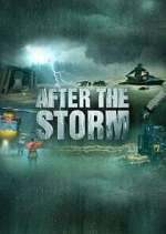 Watch After the Storm Alluc