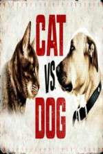 Watch Cat vs. Dog Alluc