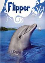 Watch Flipper Alluc