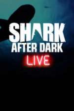 Watch Shark After Dark Alluc