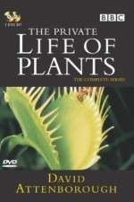 Watch The Private Life of Plants Alluc
