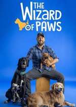 Watch The Wizard of Paws Alluc