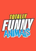 Watch Totally Funny Animals Alluc