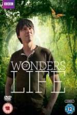 Watch Wonders Of Life Alluc