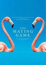 Watch The Mating Game Alluc