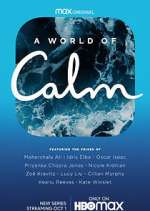 a world of calm tv poster