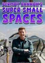 Watch Dermot Bannon's Super Small Spaces Alluc