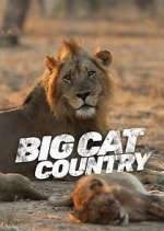 Watch Big Cat Country Alluc