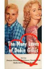 Watch The Many Loves of Dobie Gillis Alluc