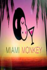 Watch Miami Monkey Alluc