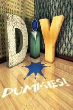 Watch DIY Dummies Alluc