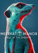 Watch Meerkat Manor: Rise of the Dynasty Alluc