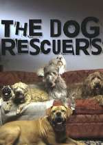 Watch The Dog Rescuers with Alan Davies Alluc