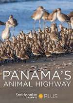 panama's animal highway tv poster