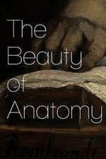 Watch The Beauty of Anatomy Alluc