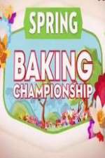 spring baking championship tv poster
