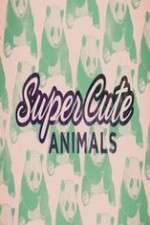 Watch Super Cute Animals Alluc